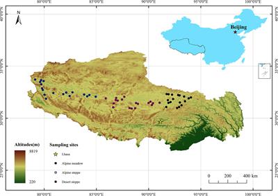 Characteristics and drivers of plant C, N, and P stoichiometry in Northern Tibetan Plateau grassland